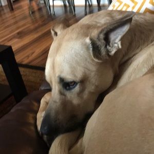 Meet your Posher, Karen